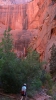 PICTURES/Zion National Park - Yes Again/t_Double Arch Alcove6.JPG